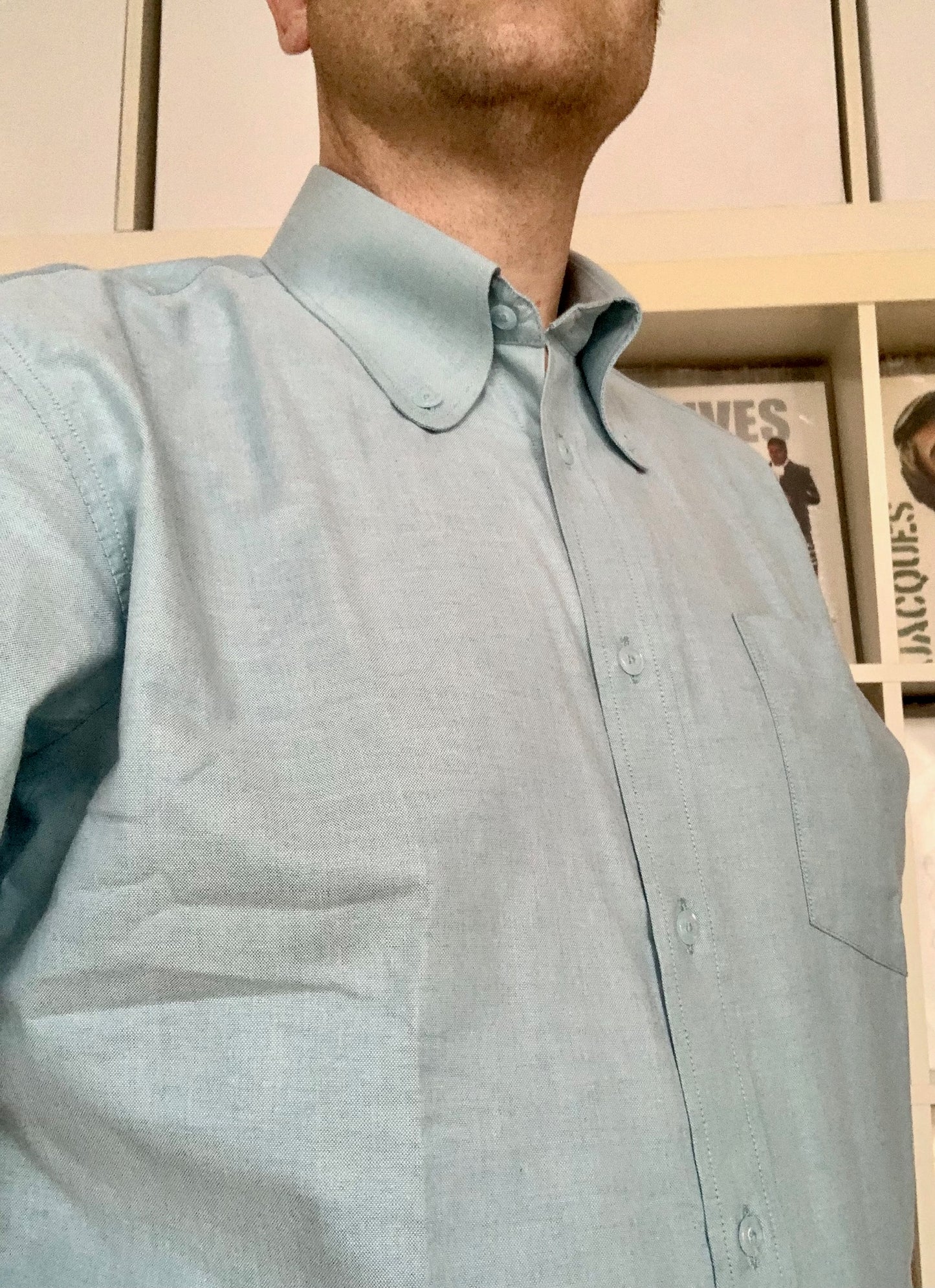 Limited-edition AiBi アイビースタイル Beagle collared button-down short-sleeved shirt 'Wrigley' Mint Oxford SS25