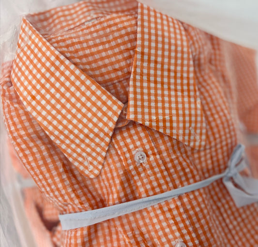 Limited-edition AiBi アイビースタイル Beagle collared button-down short-sleeved shirt 'Seersucker' Orange Gingham SS25